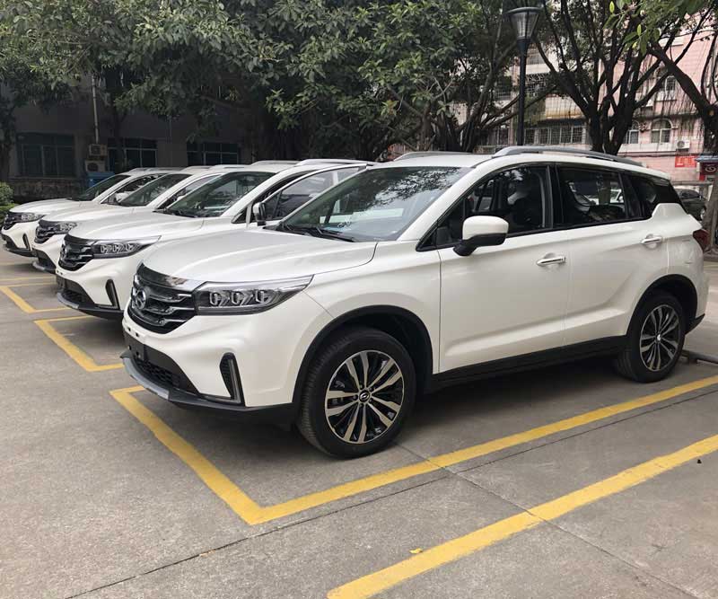 分享新能源车的民间市场调查